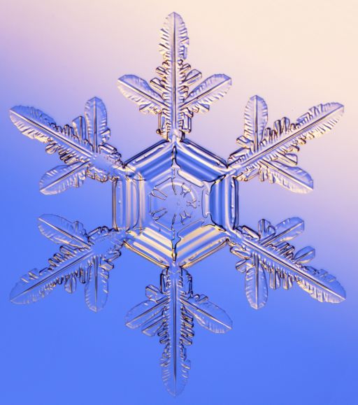 The image “http://www.its.caltech.edu/~atomic/book/snowflake1.jpg” cannot be displayed, because it contains errors.