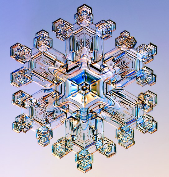 http://www.its.caltech.edu/~atomic/snowcrystals/class/w041219b055.jpg