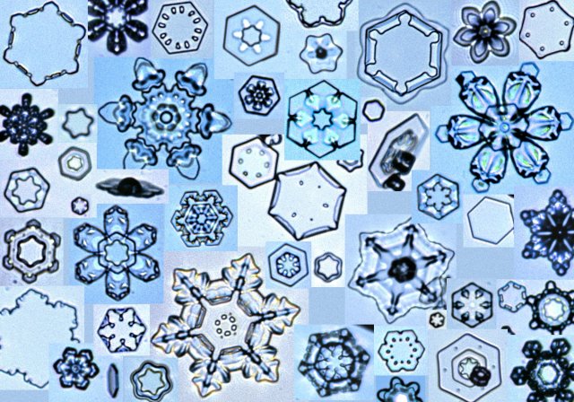 http://www.its.caltech.edu/~atomic/snowcrystals/falling/t15mix2m.jpg