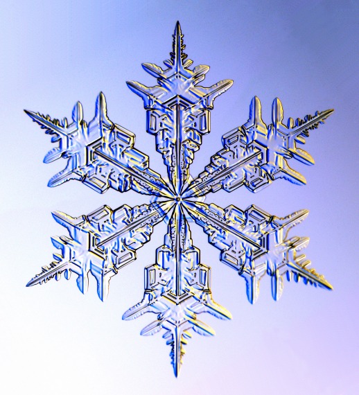 http://www.its.caltech.edu/~atomic/snowcrystals/photos/w031230a113.jpg