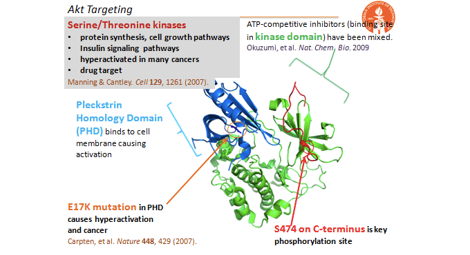Targeting oncogenic point mutations and allosteric sites previously thought undruggable.
