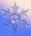 snowflake1x.jpg (2993 bytes)