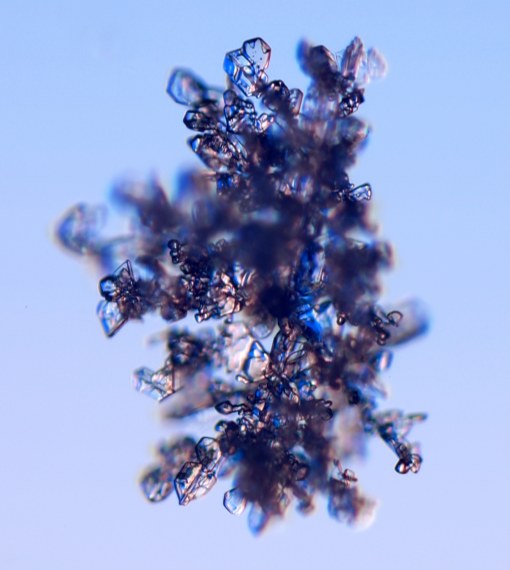 http://www.its.caltech.edu/~atomic/snowcrystals/class/w050113a003.jpg