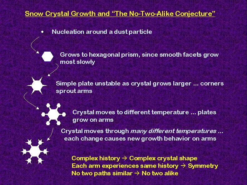 Why No Two Snowflakes are Identical and 4 Other Fun Facts