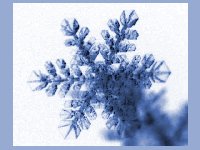 Snow Crystal Movie