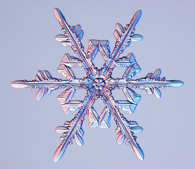 Snowflakes: Extraordinary Microscopic Photography of Real Snow Crystals by Kenneth G. Libbrecht