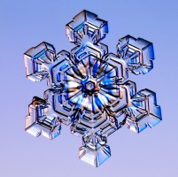 снежинки,снег, кристаллы, лед, вода, Кеннет Либбрехт, Kenneth Libbrecht.