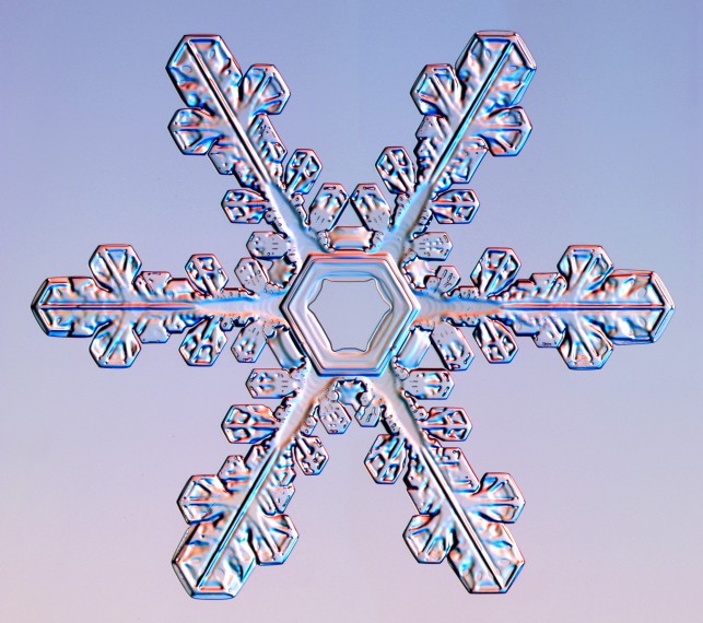 Snowflake and Snow Crystal Photographs