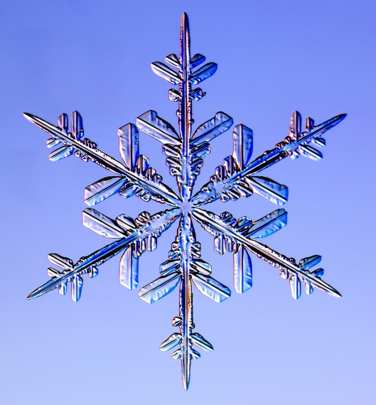 Snowflake Sequins Metal Print by Gustoimages/science Photo Library -  Science Photo Gallery