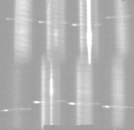 BD+30 raw spectrum