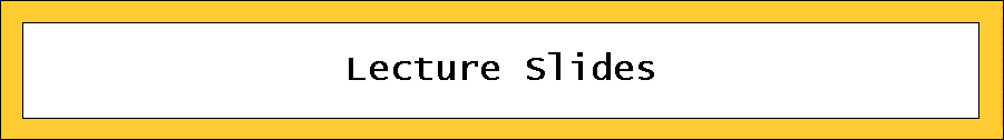 Lecture Slides