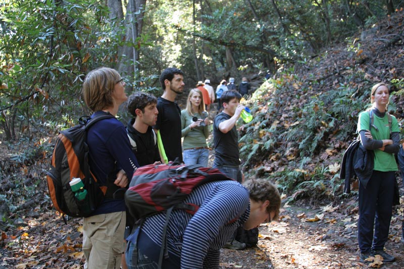 Group Hike: Chantry Flat to Mt. Wilson