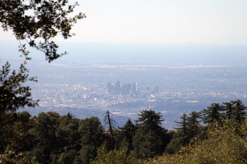 Group Hike: Chantry Flat to Mt. Wilson
