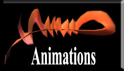 Animation button