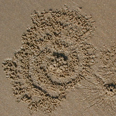 Sand Pattern - Puri, India, December 1998