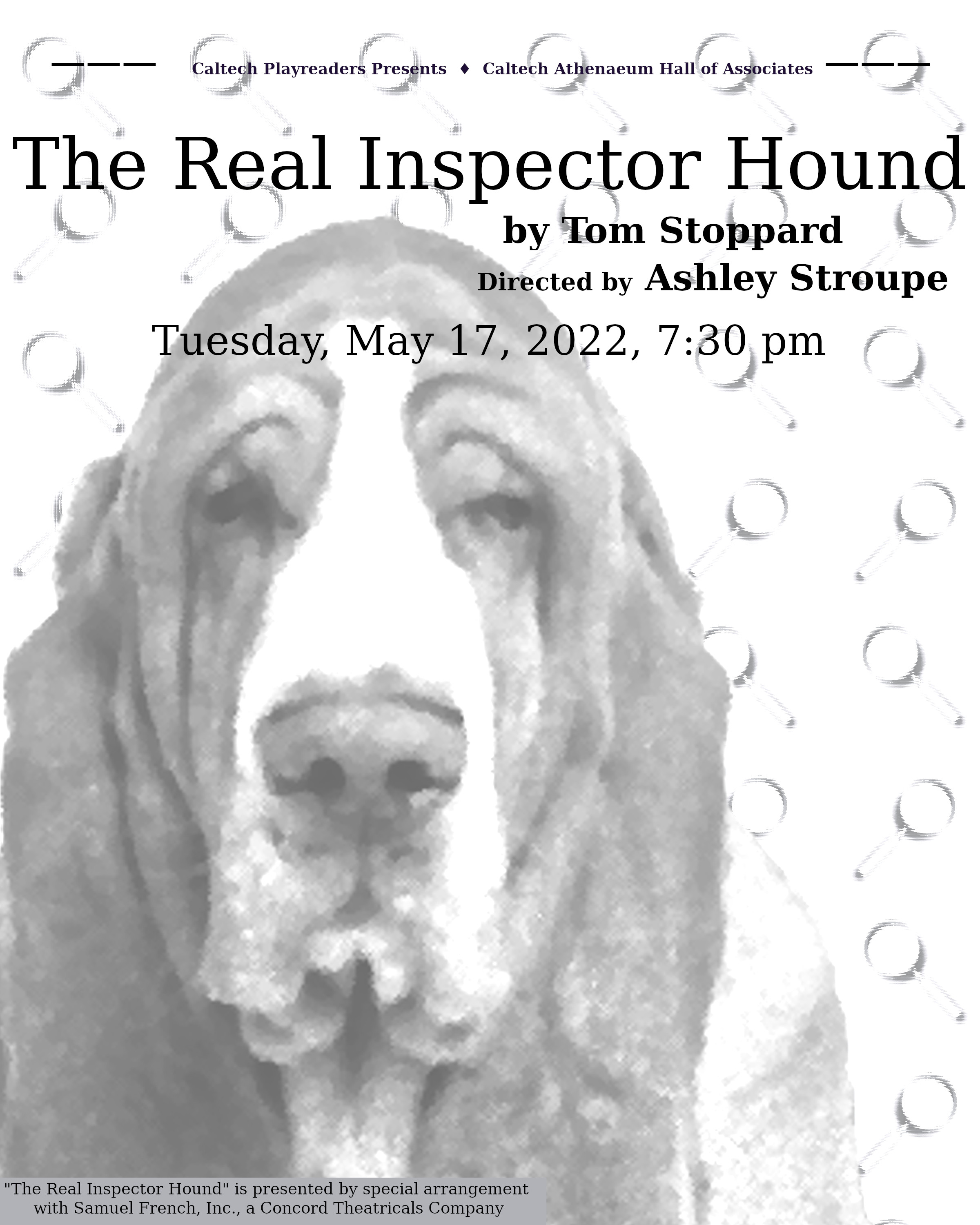 Poster for the play The Real Inspector Hound