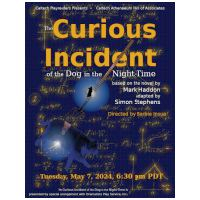 The Curious Incident of the Dog in the Night-Time