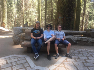 Roman, Sebastian and Matt appreciating the height of the sequoia tree
