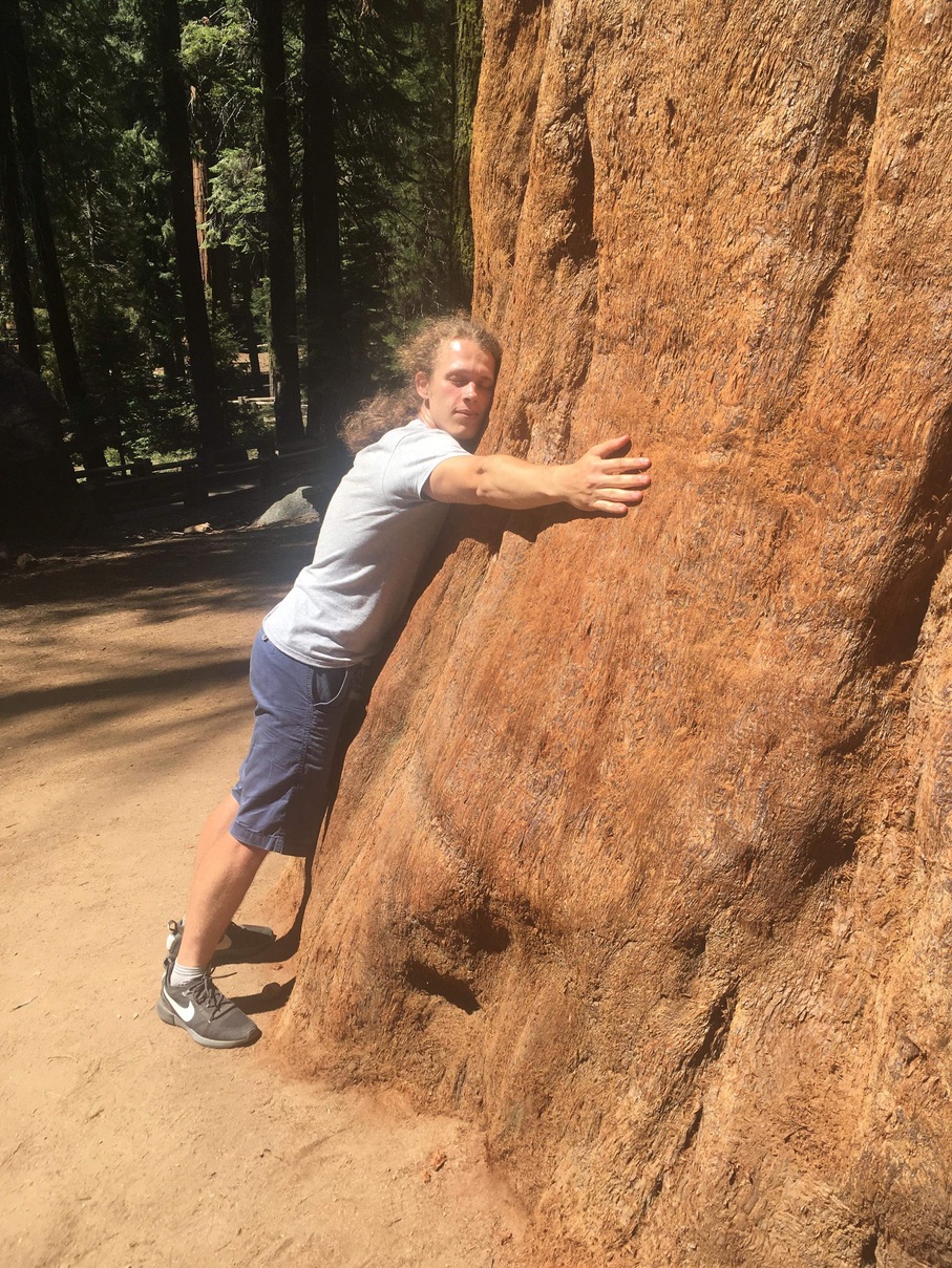 Roman hugging one of the largest sequoia trees in the world