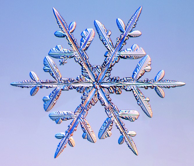 Falling Snow In Different Shapes. Christmas Snow With Snowflakes