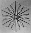 gonda5x.jpg (4475 bytes)