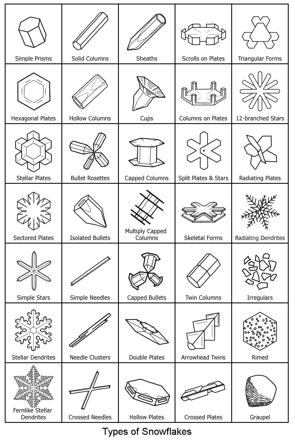 Fun Facts About Snowflakes - And All There Is To Know About SnowHow To Make  Science Projects For Kids