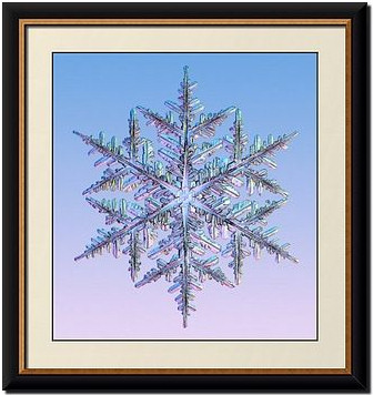 Snowflake Sequins Art Print by Gustoimages/science Photo Library