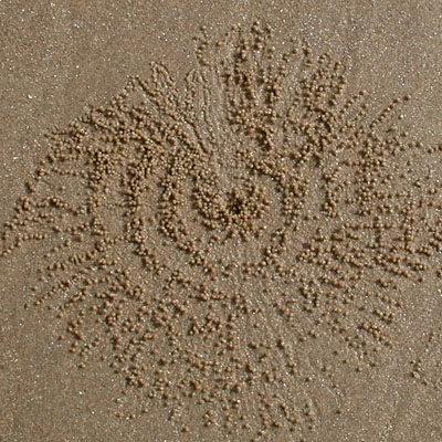 Sand Pattern - Puri, India, December 1998